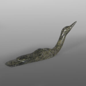 Gliding Loon
Ningeosiaq Ashoona
Inuit
Serpentine
12" x 5¼" x 2¼"
1,600