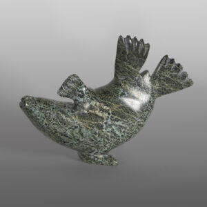 Playful Seal
Parr Parr
Inuit
Serpentine
8" x 5" x 2"
725