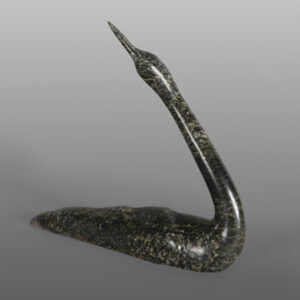 Graceful Loon
Ningeosiaq Ashoona
Inuit
Serpentine
8½" x 8¼" x 2"
1,600