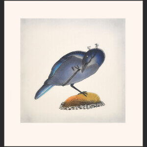 QAVAVAU MANUMIE
24. Smoking Raven
Etching & Aquatint
Paper: Arches White
Printer: Studio PM
69 x 66.4 cm
27¼”  x 26¼”
$ 800
640