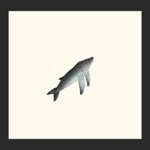10. Whale
Qavavau Manumi
Inuit
Etching & Aquatint
Paper: Arches White
Printer: Studio PM
28 x 29.2 cm
11” x 11½”
$400
$320
Cape Dorset Print Collection  2020