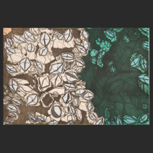 Barnacles
Padloo Samayualie
Lithograph
15" x 22"
$400 US