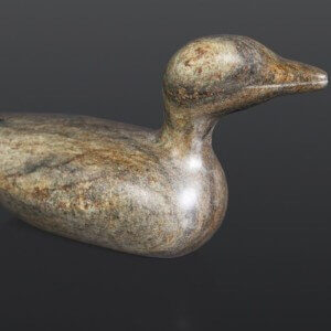 Seabird Stephen Noyes Colville