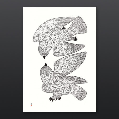 Sparring Owls Quvianaqtuk Pudlat Inuit Cape Dorset Prints 2017 Stonecut