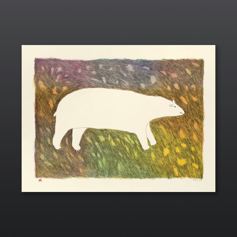 sq_0004_orig_19-tundra-bear-by-papiara-tukiki_5393.jpg