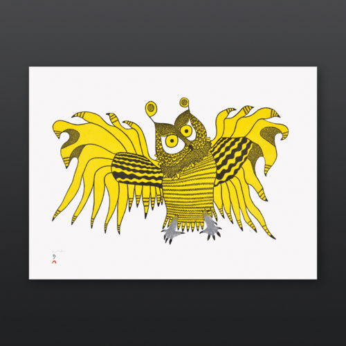 Ornamental Owl Ooloosie Saila Inuit Stonecut Cape Dorset Print 2017