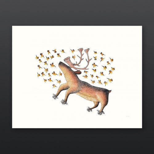 Summer Buzz Cee Pootoogook Inuit Etching Aquatint Cape Dorset Prints 2017