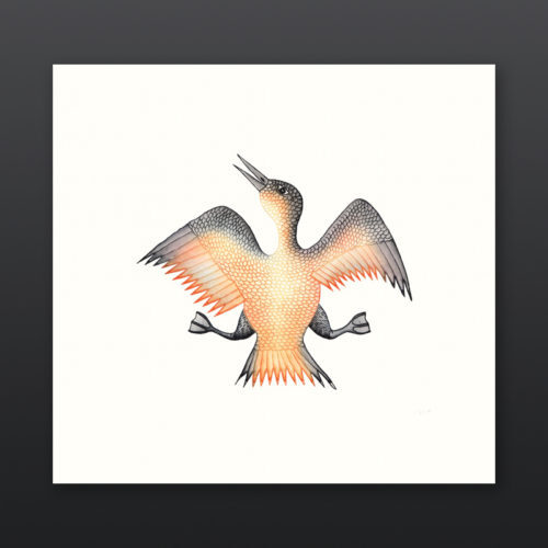 Jubilant Bird Cee Pootoogook Inuit Etching Aquatint Cape Dorset Prints 2017