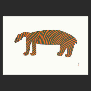 Striped Bear Saimaiyu Akesuk cape dorset